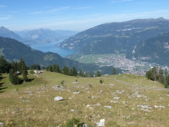 Suiza, trenes, montaña, paseos