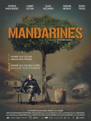 Mandarines.jpg