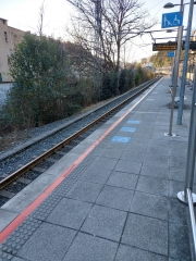 20250112_165913.jpg